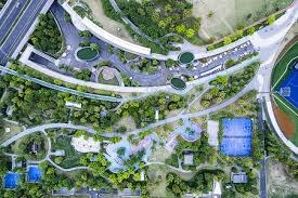 2024上海马拉松正式鸣枪，申爱大不同共赴大满贯